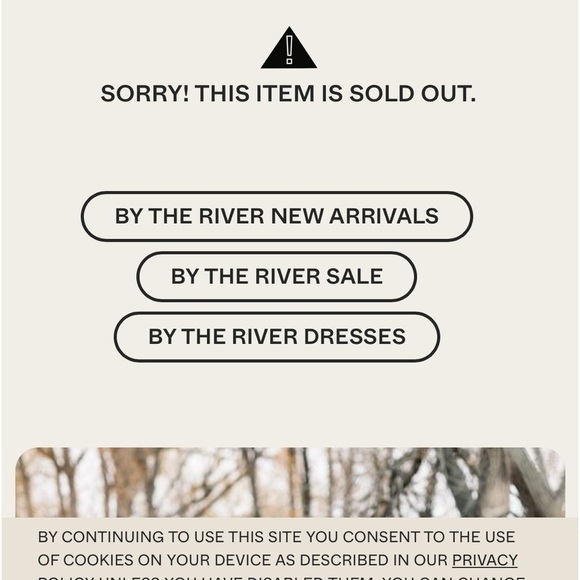 ByThe River,Gingham w/Gold Shimmer, Gathered Neck & Sleeves,Heavier,Size L - Picture 6 of 14